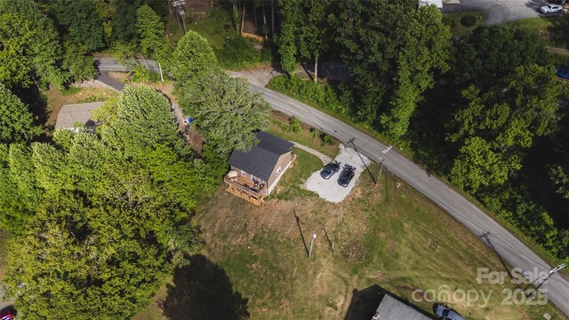 132 Connestee Rd, Brevard, NC 28712 - photo 42
