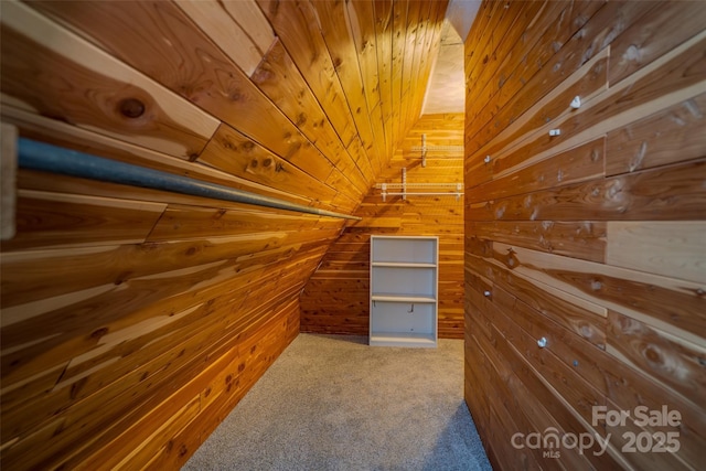 15 Wilson Way, Flat Rock, NC 28731 - walk in closet with carpet flooring