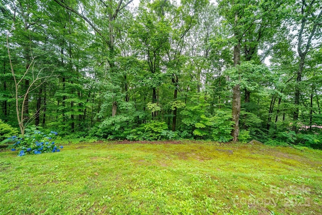15 Wilson Way, Flat Rock, NC 28731 - view of yard featuring a view of trees