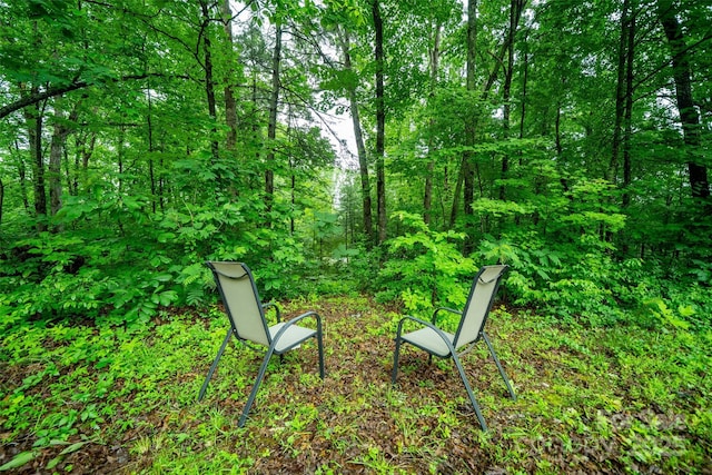 15 Wilson Way, Flat Rock, NC 28731 - view of community