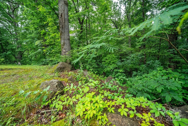 15 Wilson Way, Flat Rock, NC 28731 - view of nature