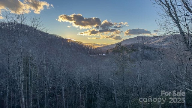 6LOTS Snow Ridge Rd Unit 35-40, Banner Elk, NC 28604