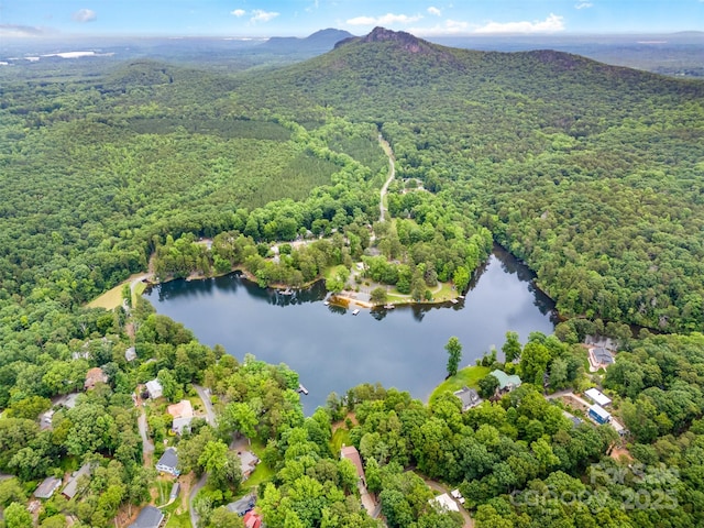 1102 Lake Montonia Rd, Kings Mountain, NC 28086 - aerial overview of property's location with a forest and a water and mountain view