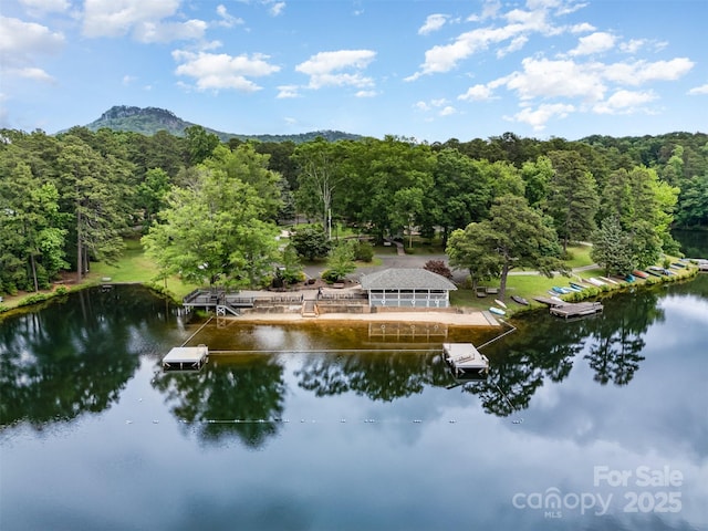 1102 Lake Montonia Rd, Kings Mountain, NC 28086 - water view featuring a heavily wooded area, a floating dock, and mountains