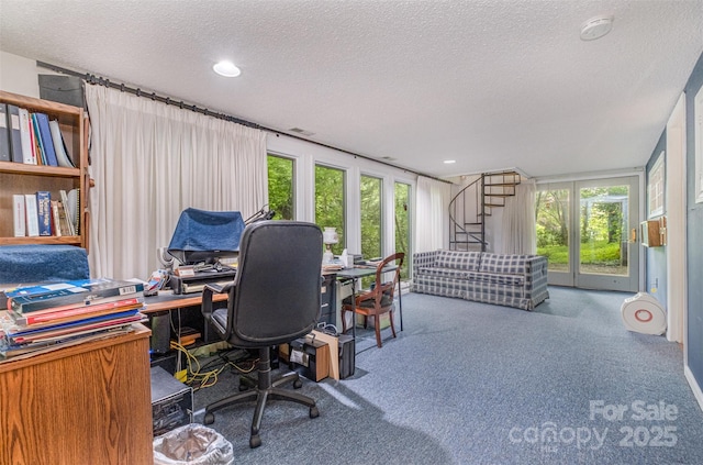 1102 Lake Montonia Rd, Kings Mountain, NC 28086 - carpeted office featuring a textured ceiling, plenty of natural light, and recessed lighting