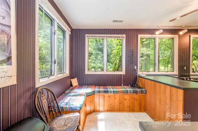 1102 Lake Montonia Rd, Kings Mountain, NC 28086 - unfurnished sunroom featuring healthy amount of natural light