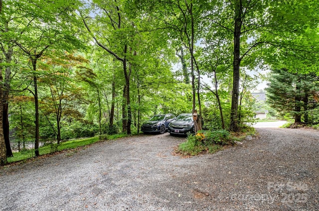 1102 Lake Montonia Rd, Kings Mountain, NC 28086 - view of dirt / gravel driveway