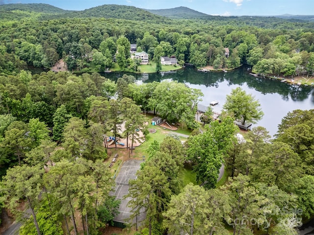 1102 Lake Montonia Rd, Kings Mountain, NC 28086 - view of property location with a heavily wooded area and a nearby body of water