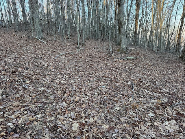 TBD Pigeon Roost Rd, Banner Elk, NC 28604