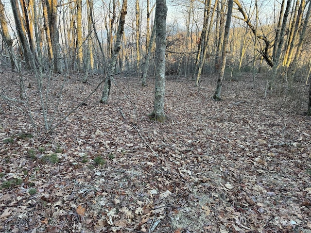 TBD Pigeon Roost Rd, Banner Elk, NC 28604