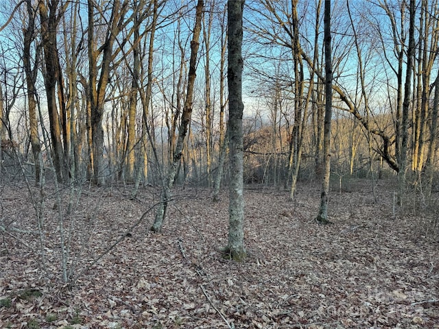 TBD Pigeon Roost Rd, Banner Elk, NC 28604