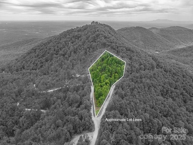 0 Pinnacle Pkwy, Union Mills, NC 28167 - photo 1