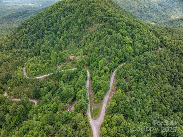 0 Pinnacle Pkwy, Union Mills, NC 28167 - photo 2