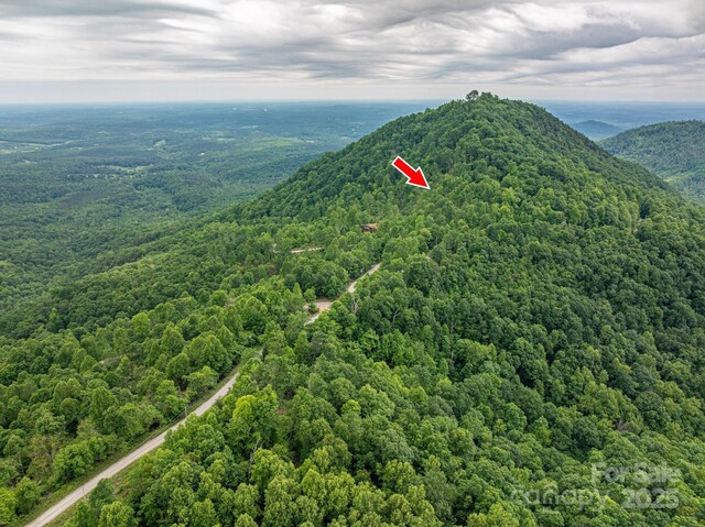 0 Pinnacle Pkwy, Union Mills, NC 28167 - photo 8