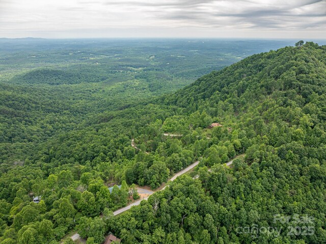 0 Pinnacle Pkwy, Union Mills, NC 28167 - photo 9
