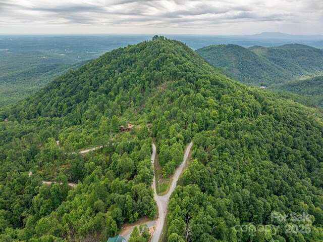 0 Pinnacle Pkwy, Union Mills, NC 28167 - photo 11