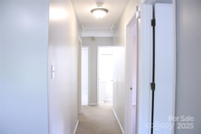 606 E 4th Ave, Gastonia, NC 28054 - hall with light colored carpet, baseboards, and attic access