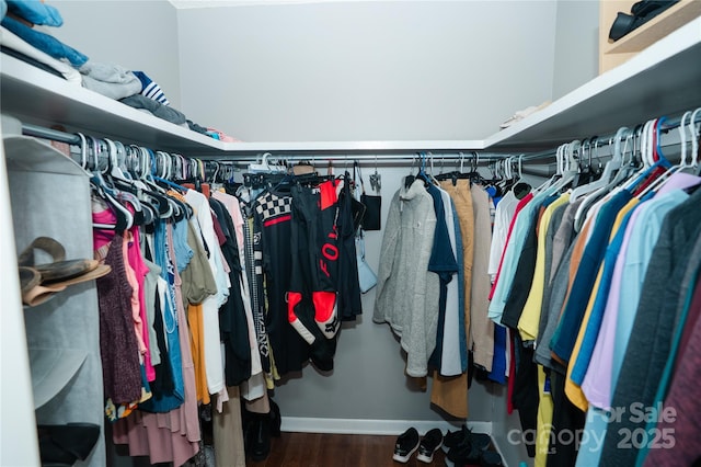 1565 Earnhardt Rd, Salisbury, NC 28146 - spacious closet with wood finished floors