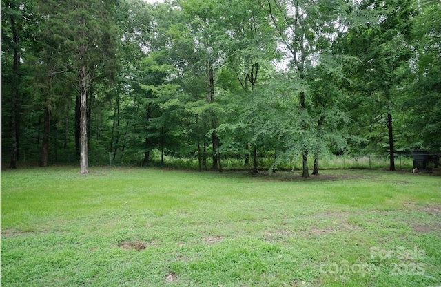 1565 Earnhardt Rd, Salisbury, NC 28146 - view of grassy yard with a view of trees