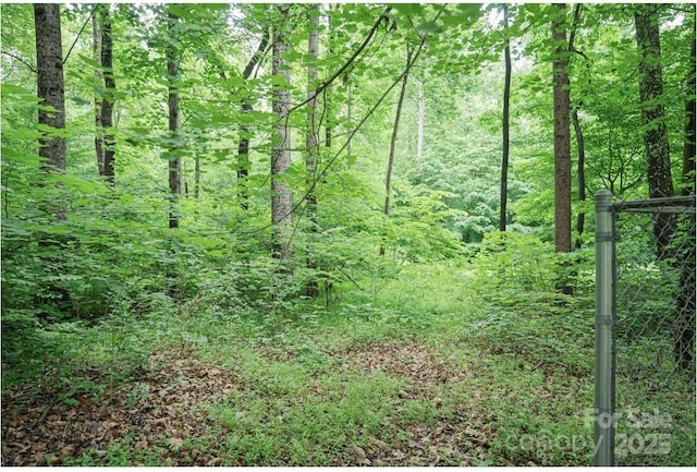 1565 Earnhardt Rd, Salisbury, NC 28146 - view of wooded area