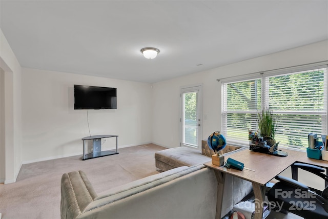 117 Langhorne Dr, Mount Holly, NC 28120 - office space featuring carpet floors and baseboards