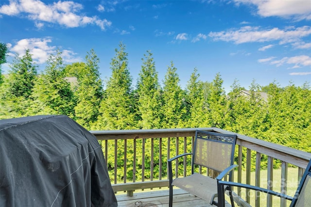 117 Langhorne Dr, Mount Holly, NC 28120 - deck with area for grilling