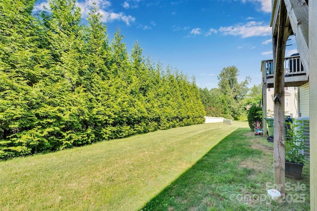 117 Langhorne Dr, Mount Holly, NC 28120 - view of green lawn
