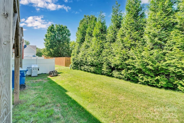 117 Langhorne Dr, Mount Holly, NC 28120 - view of yard