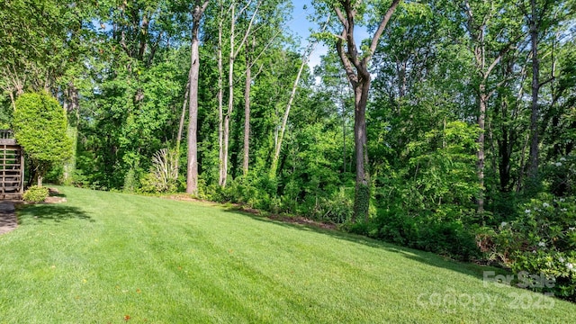220 W Park Dr, Morganton, NC 28655 - view of grassy yard featuring stairs