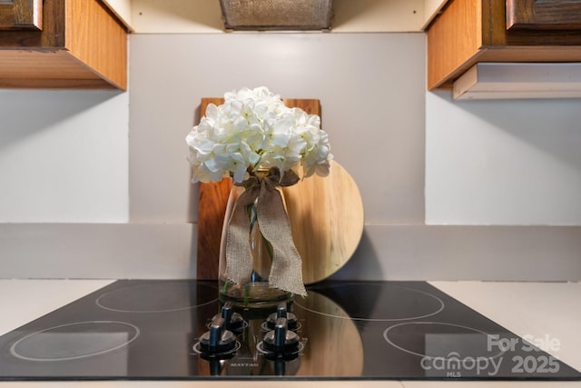 220 W Park Dr, Morganton, NC 28655 - kitchen view of black electric cooktop