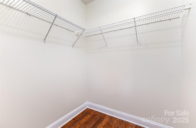 1136 W 1st St, Charlotte, NC 28202 - spacious closet with dark wood finished floors
