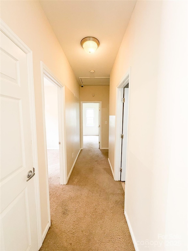 3430 Fincher Blvd, Charlotte, NC 28269 - corridor featuring light carpet, attic access, and baseboards