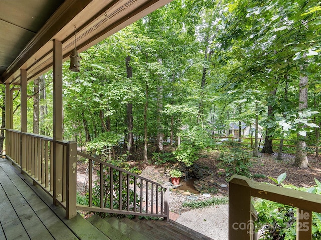 10710 Bristlecone Ct, Mint Hill, NC 28227 - view of porch