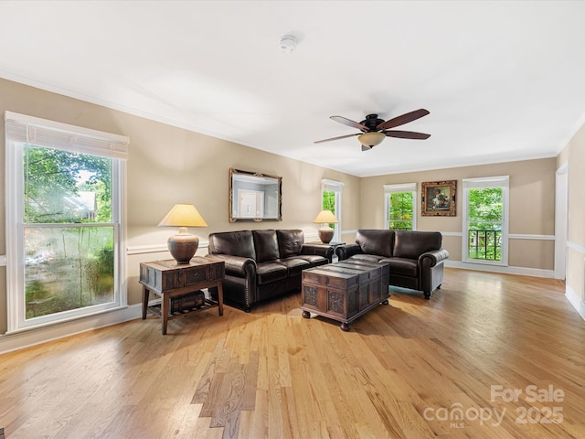 10710 Bristlecone Ct, Mint Hill, NC 28227 - living area featuring light wood-type flooring, ceiling fan, healthy amount of natural light, and crown molding