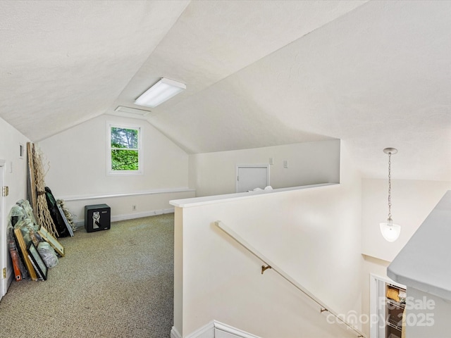 10710 Bristlecone Ct, Mint Hill, NC 28227 - bonus room with vaulted ceiling and carpet floors