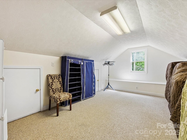 10710 Bristlecone Ct, Mint Hill, NC 28227 - bonus room with a textured ceiling, carpet floors, and lofted ceiling