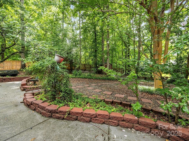10710 Bristlecone Ct, Mint Hill, NC 28227 - view of yard