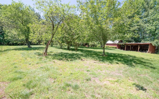 6487 NC-18 Rd, Connelly Springs, NC 28612 - view of green lawn with an outbuilding and an outdoor structure