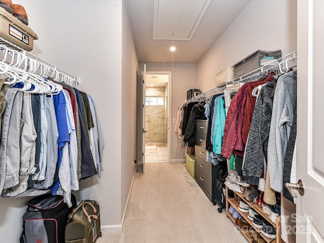 5811 Mantle Way, Kannapolis, NC 28081 - walk in closet featuring attic access and carpet flooring