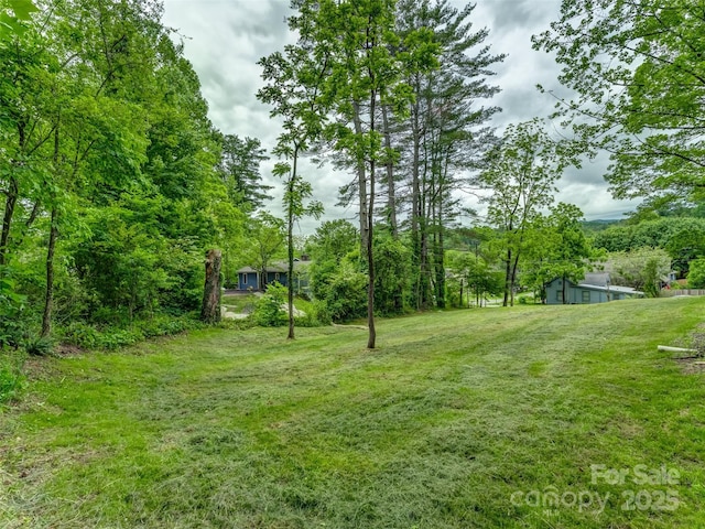 551 Fisher Rd, Brevard, NC 28712 - photo 3