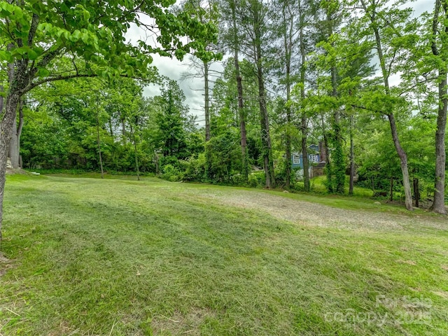 551 Fisher Rd, Brevard, NC 28712 - photo 4