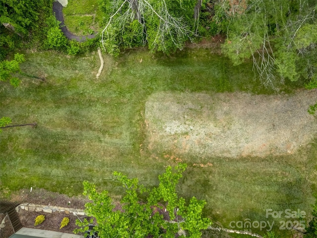 551 Fisher Rd, Brevard, NC 28712 - photo 9