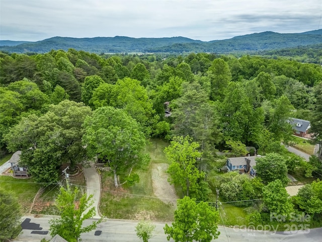 551 Fisher Rd, Brevard, NC 28712 - photo 11