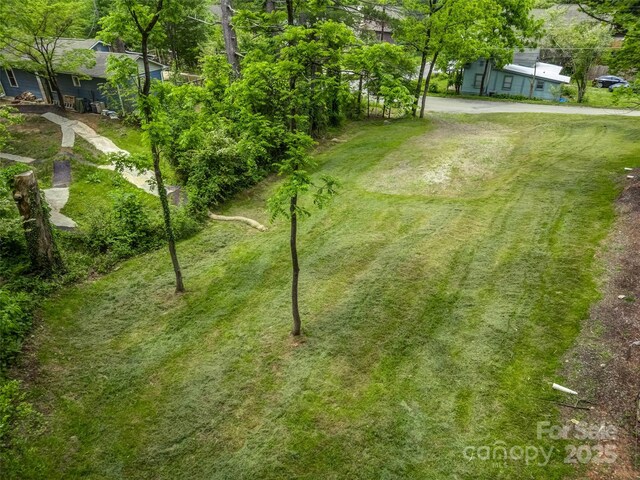 551 Fisher Rd, Brevard, NC 28712 - photo 13