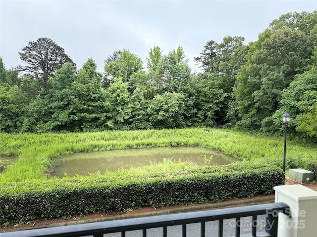 129 Steinbeck Way Unit B, Mooresville, NC 28117 - view of yard with a water view and a forest view