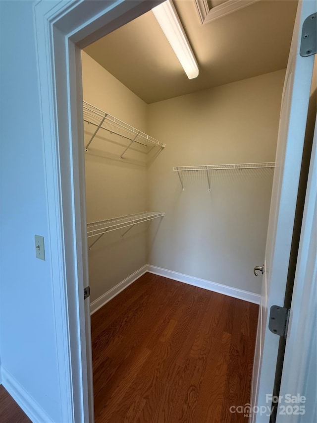 129 Steinbeck Way Unit B, Mooresville, NC 28117 - walk in closet with dark wood finished floors