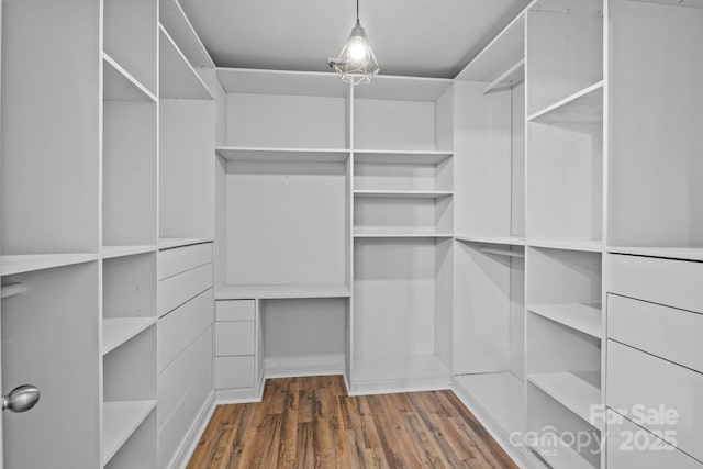 2021 Tarzi Ln, Charlotte, NC 28215 - walk in closet with wood finished floors