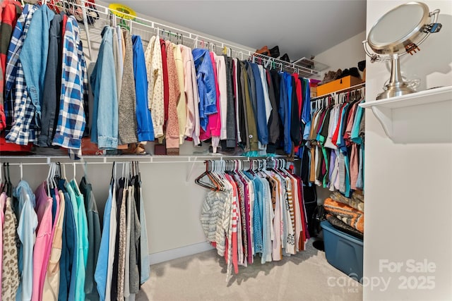 5079 Skyfest Dr, Charlotte, NC 28215 - spacious closet featuring carpet