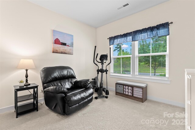 5079 Skyfest Dr, Charlotte, NC 28215 - living area with plenty of natural light, baseboards, and carpet flooring