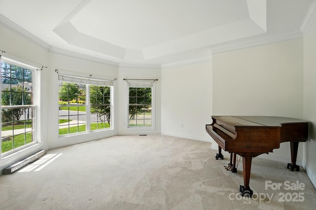 201 Limerick Dr, Matthews, NC 28104 - sitting room with a raised ceiling, carpet flooring, baseboards, and ornamental molding